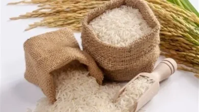 سعر طن الارز الشعير اليوم