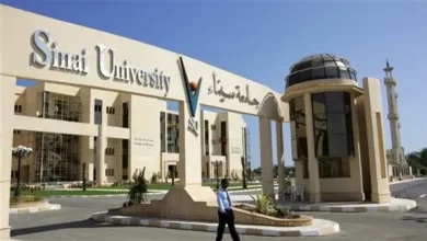 مصاريف جامعة سيناء