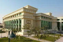 مصاريف وتنسيق كليات جامعة سفنكس